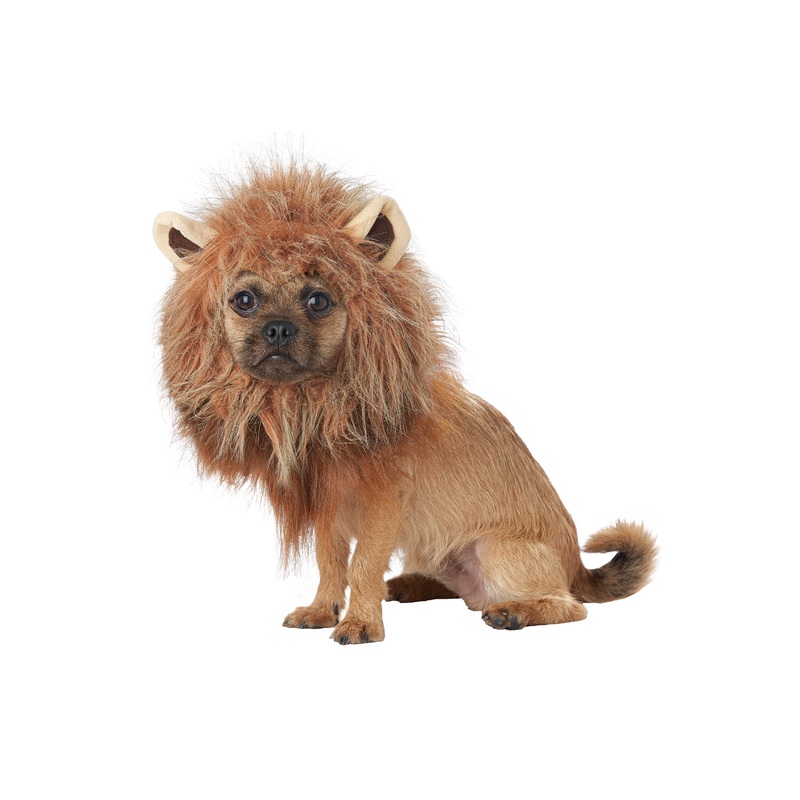 King of the Jungle Pet Costume X-Small