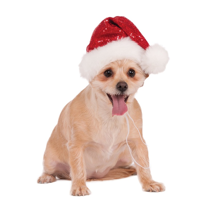 Red Sequin Hat Pet Costume Small/Medium