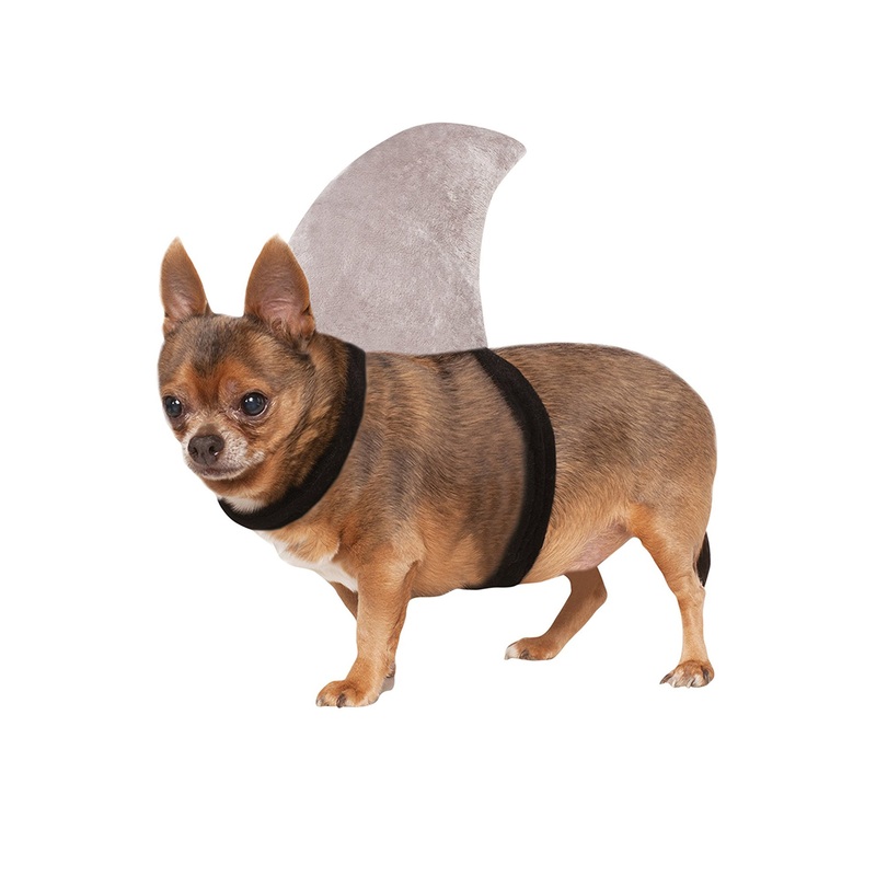 Shark Fin Pet Costume Small/Medium