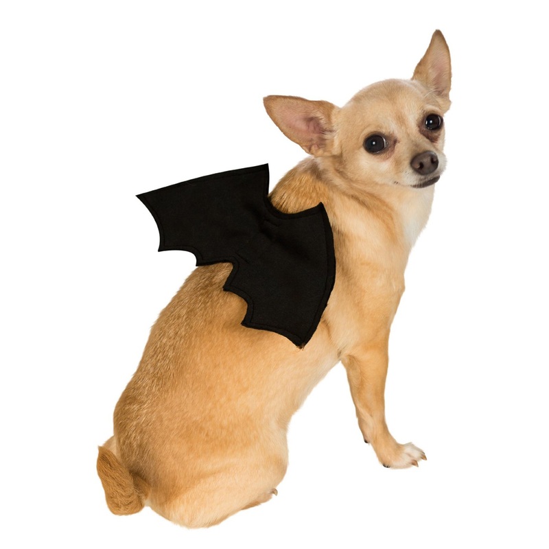 Bat Wings Pet Accessory Small/Medium