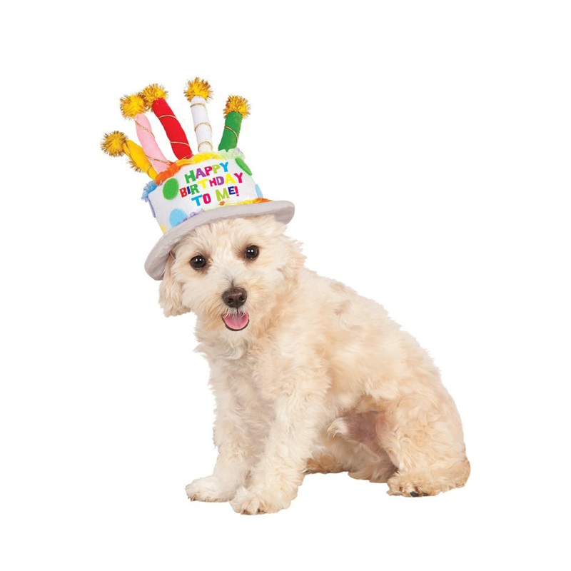 Birthday Cake Hat Pet Accessory Small/Medium