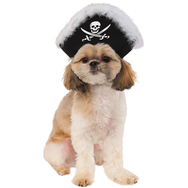 Pirate Hat Pet Accessory Small/Medium