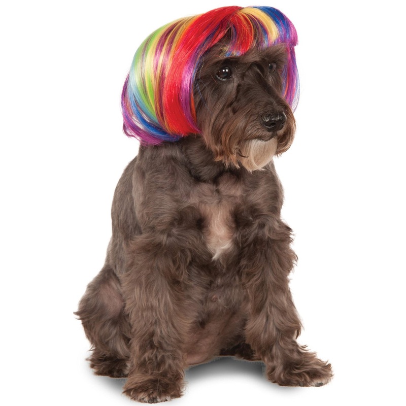 Rainbow Bob Pet Wig Small/Medium