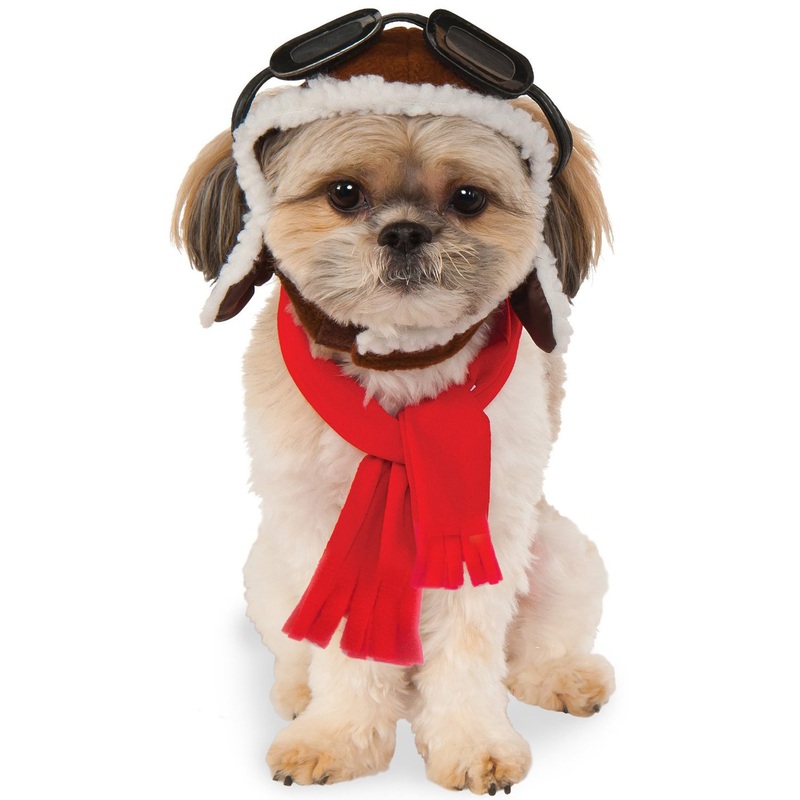 Aviator Pet Costume Small/Medium