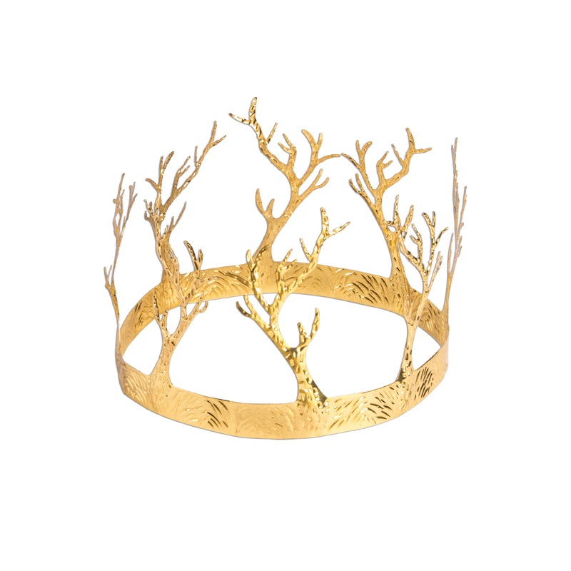 Medieval Fantasy Antler Crown Standard