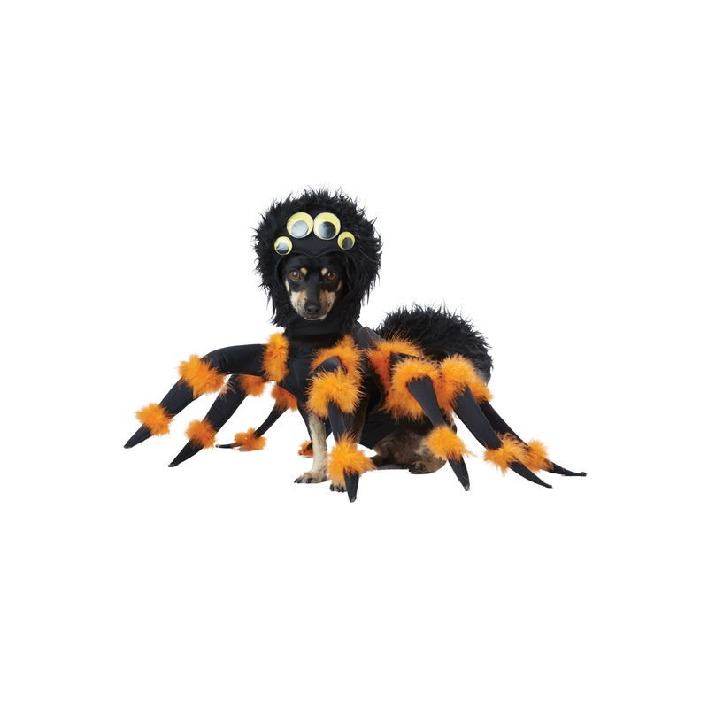 Spider Pup Pet Costume X-Small