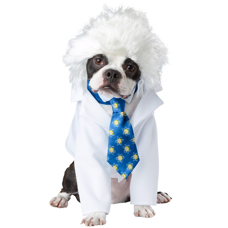 Al-Bark Einstein Pet Costume X-Small