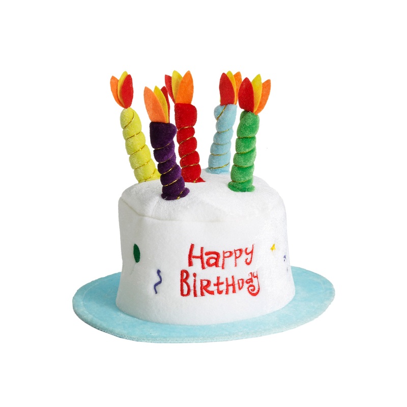 Happy Birthday Cake Top Hat Standard