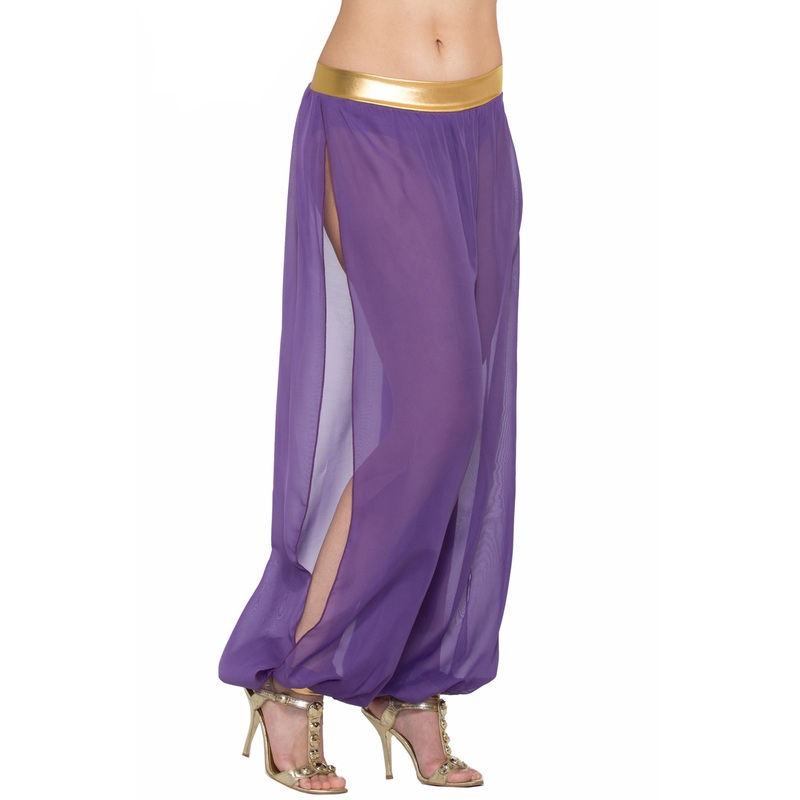 Belly Dancer Harem Pants Adult Costume (Purple) Standard