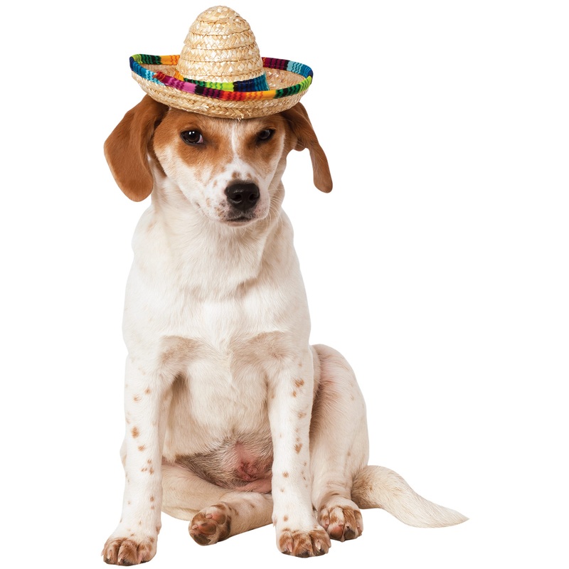 Multicolor Pet Sombrero Small/Medium