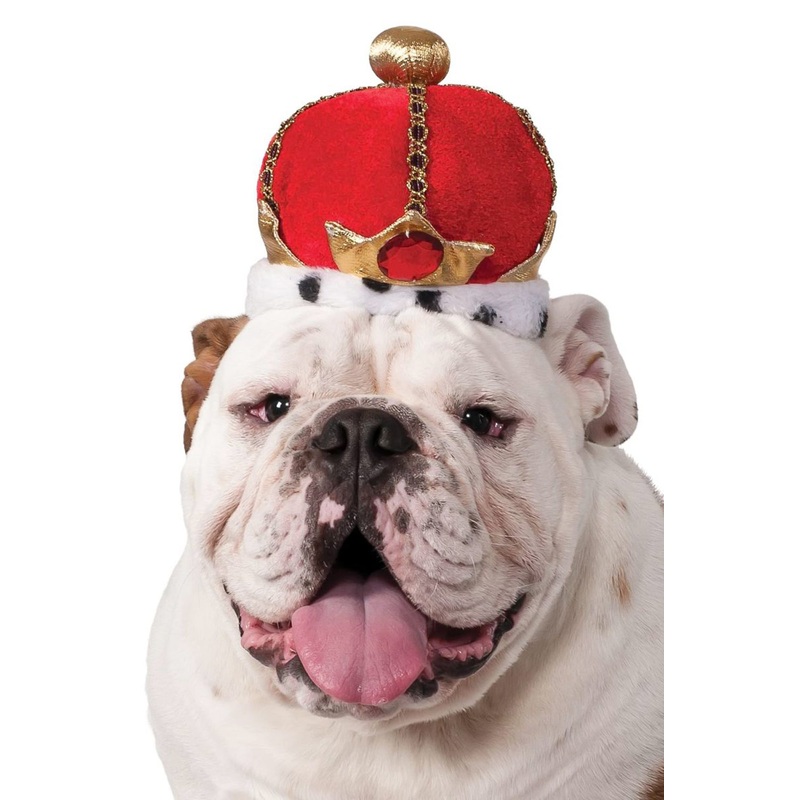 Red King Crown Pet Accessory Small/Medium