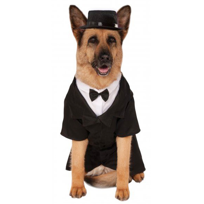 Big Dapper Dog Pet Costume XXL