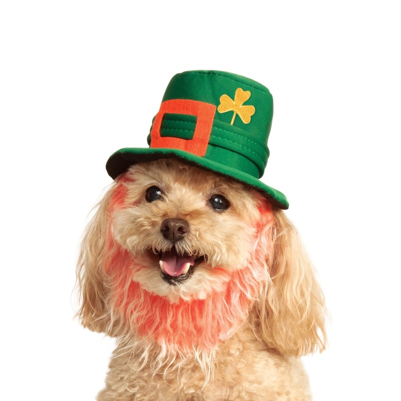 Leprechaun Hat with Beard Pet Accessory Small/Medium
