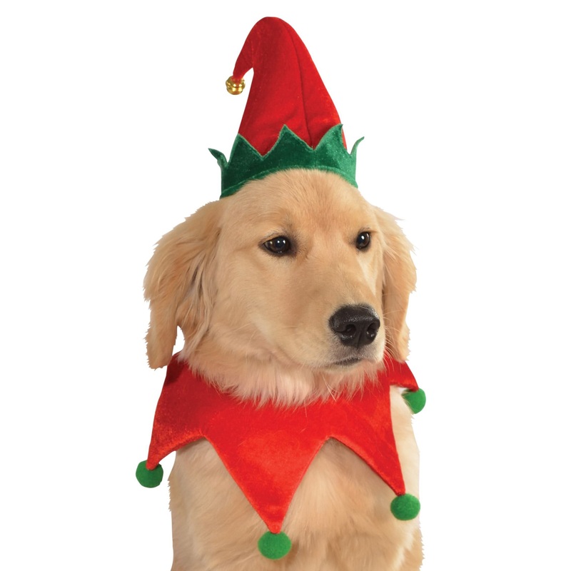 Elf Pet Costume Kit S-M