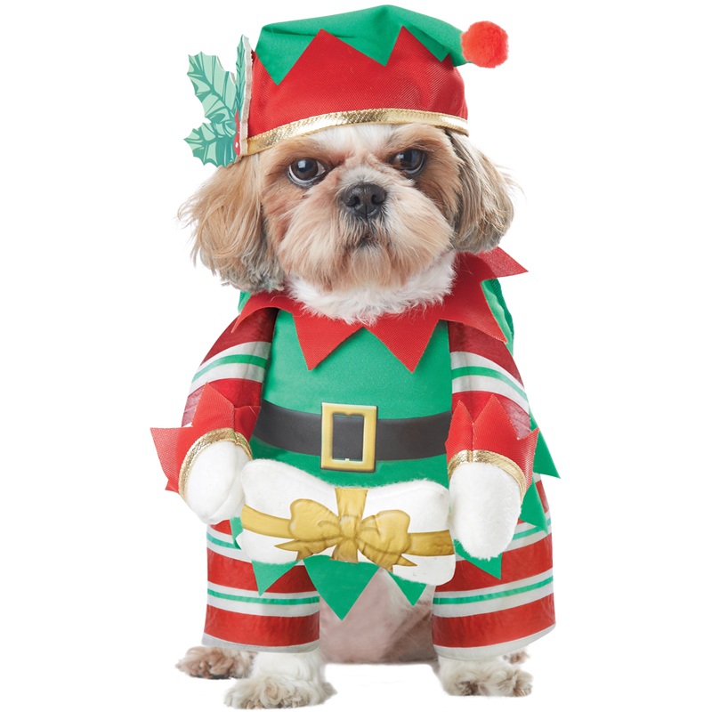 Elf Pup Pet Costume X-Small