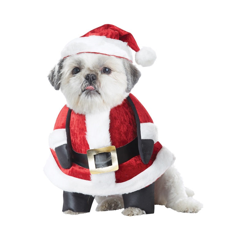 Santa Pup Pet Costume X-Small