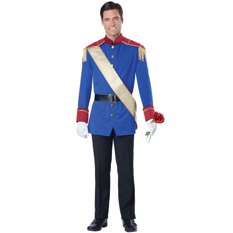 Storybook Prince Adult Costume Small