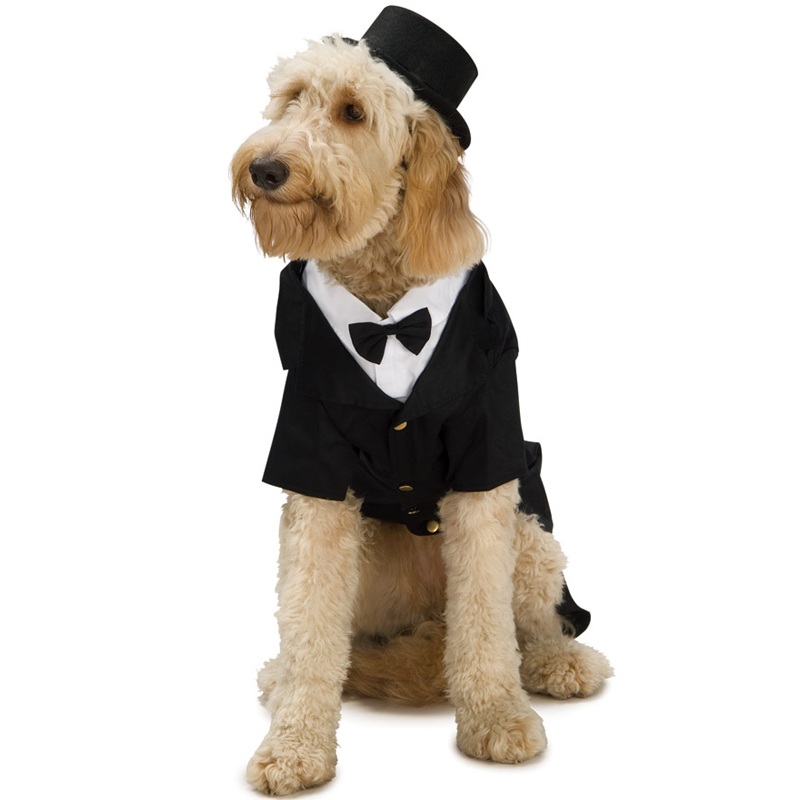 Dapper Dog Pet Costume Small