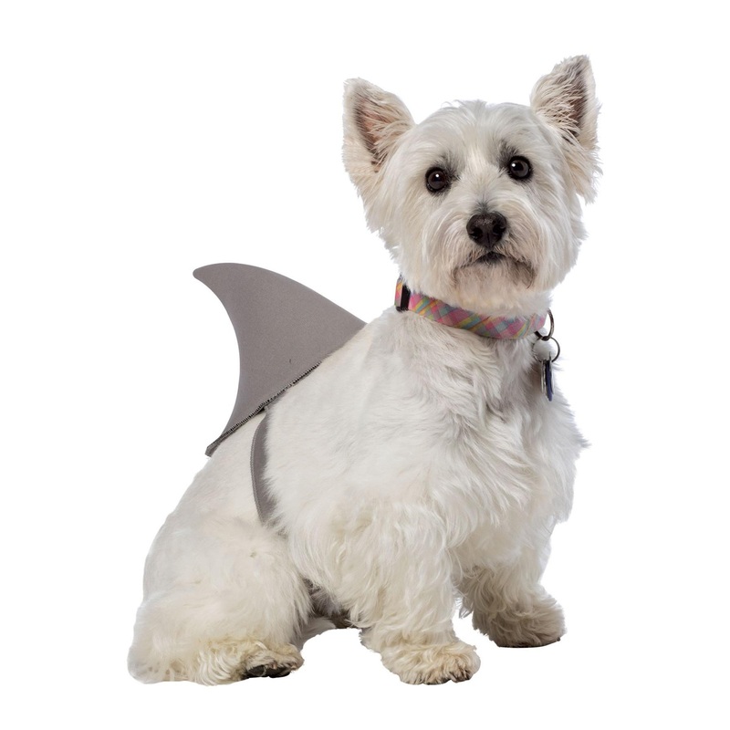 Shark Fin Dog Costume X-Small/Small