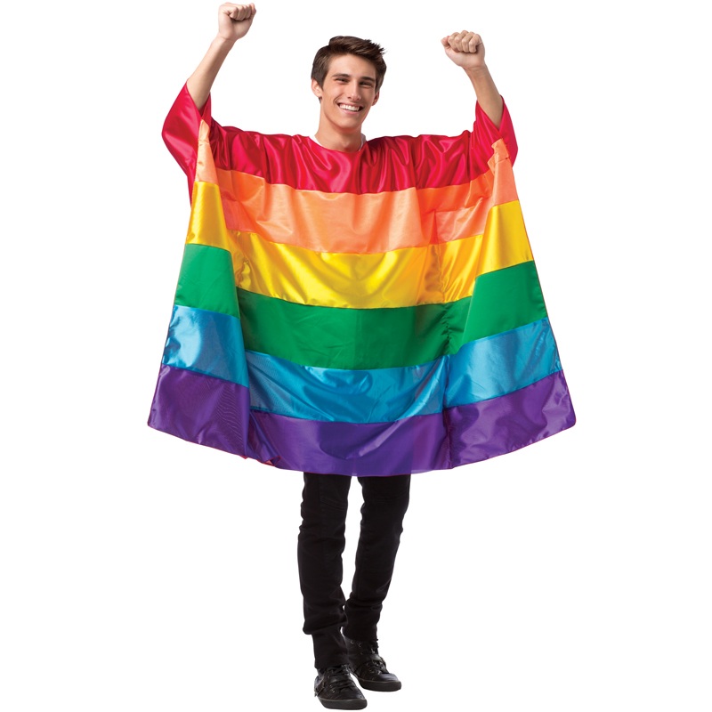 Rainbow Flag Tunic Adult Costume One Size Fits Most