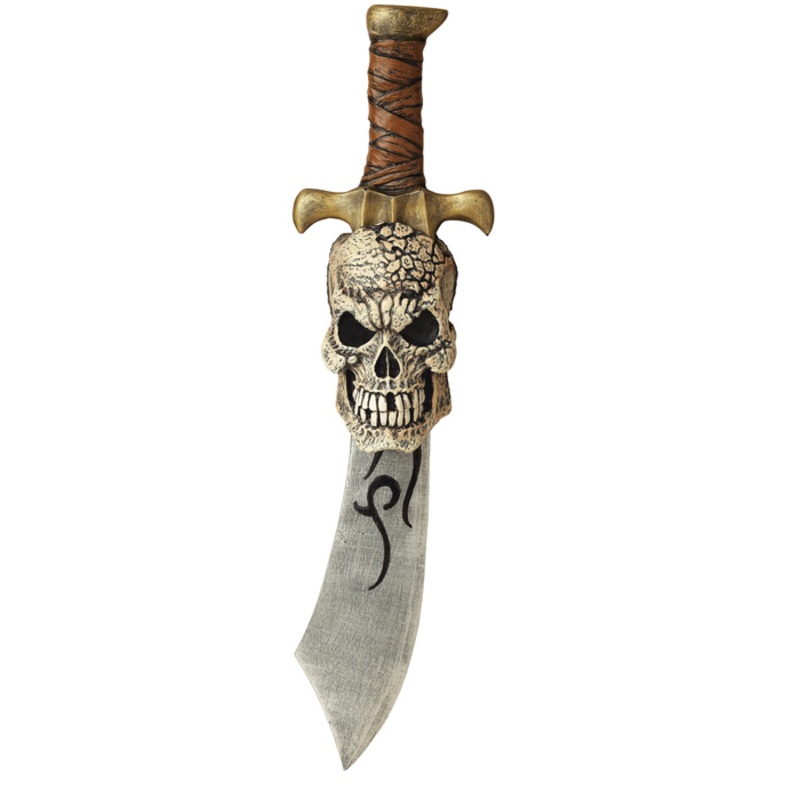 Pirate Sword and Skull Sheath