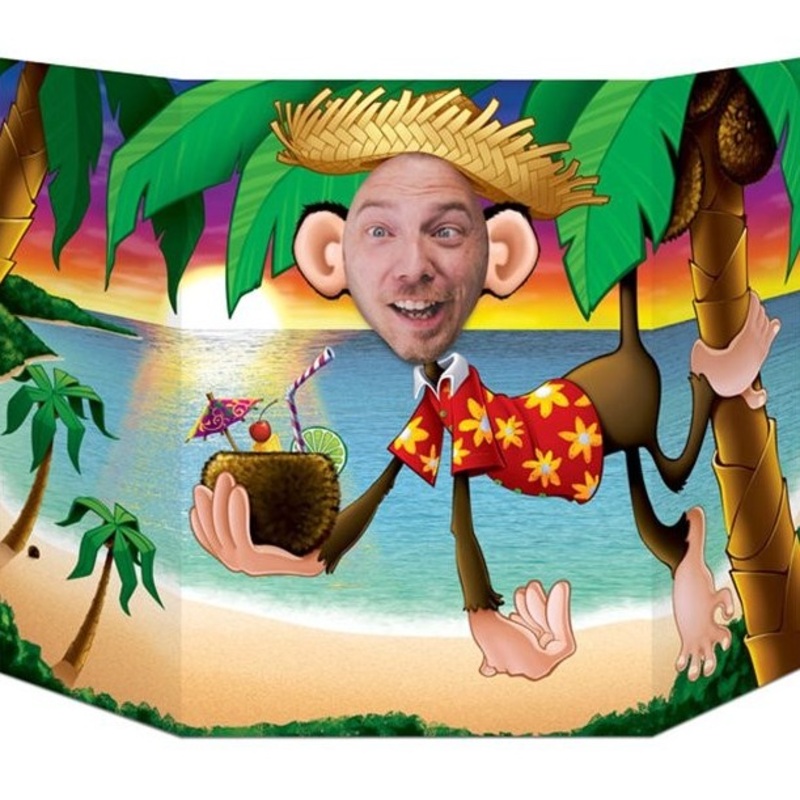 Monkey in the sunset photo wall 64cm