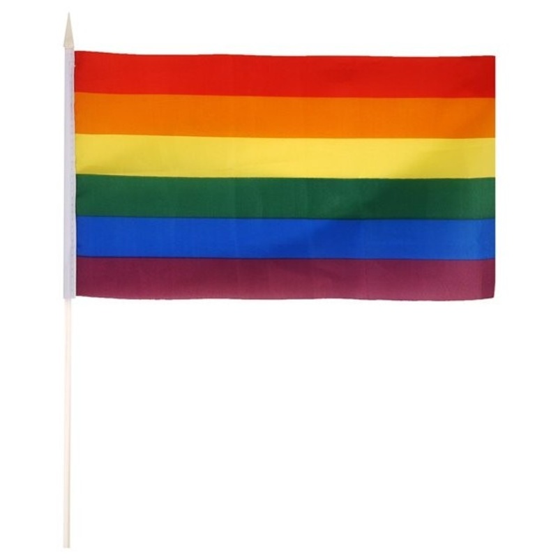 Rainbow Gay Pride Flag 29cm x 17cm