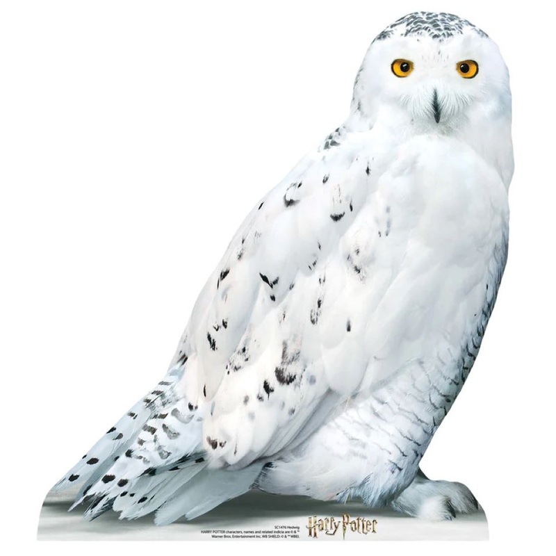 Owl Hedwig cardboard cutout 74cm