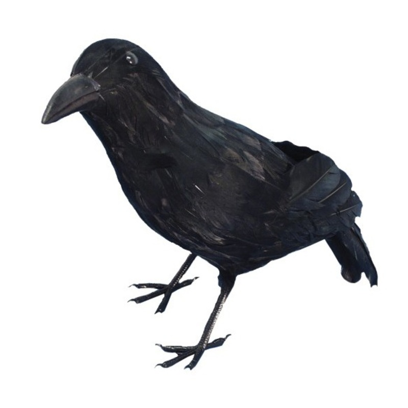Mysterious black crow