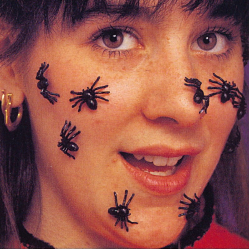 40 scary spiders for Halloween