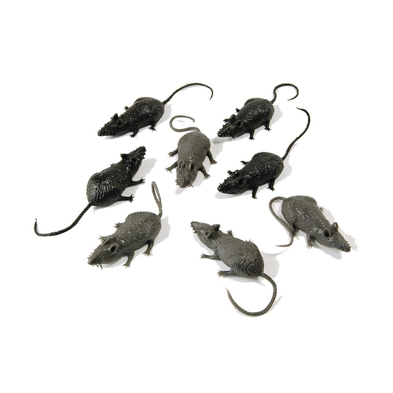 8 Decorative Rats