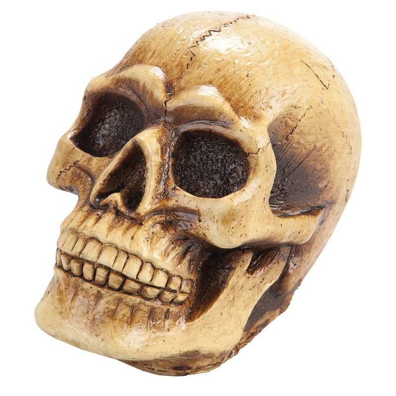 Halloween decoration mini skull 10x13cm