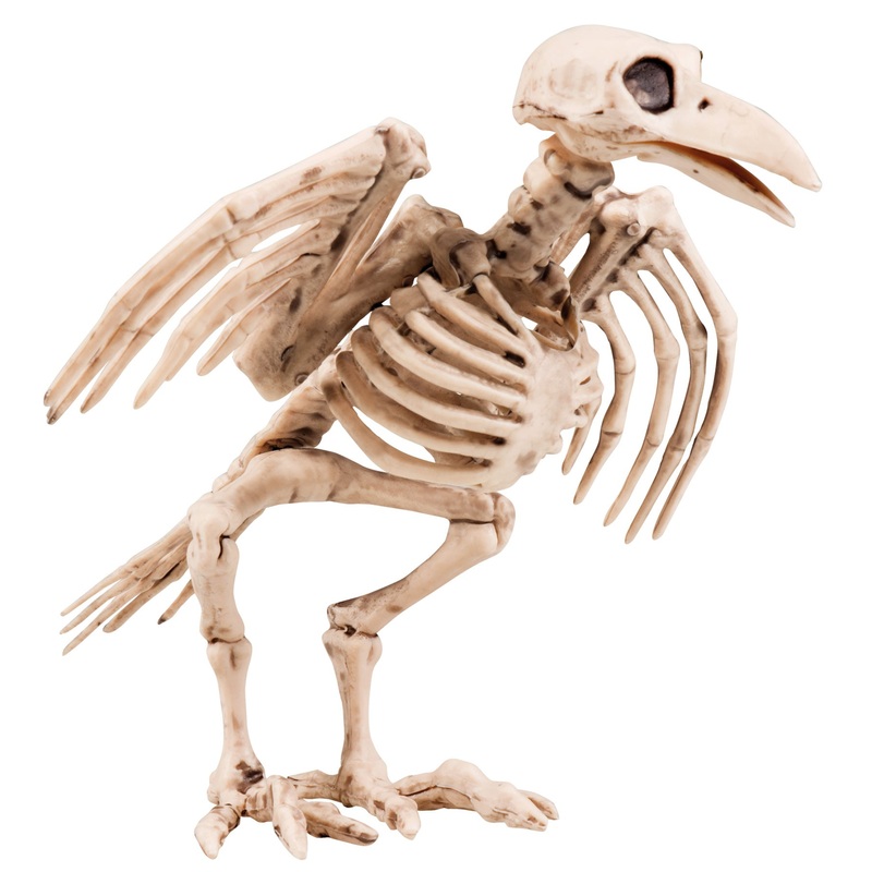 Skeleton crow Halloween decoration 18cm
