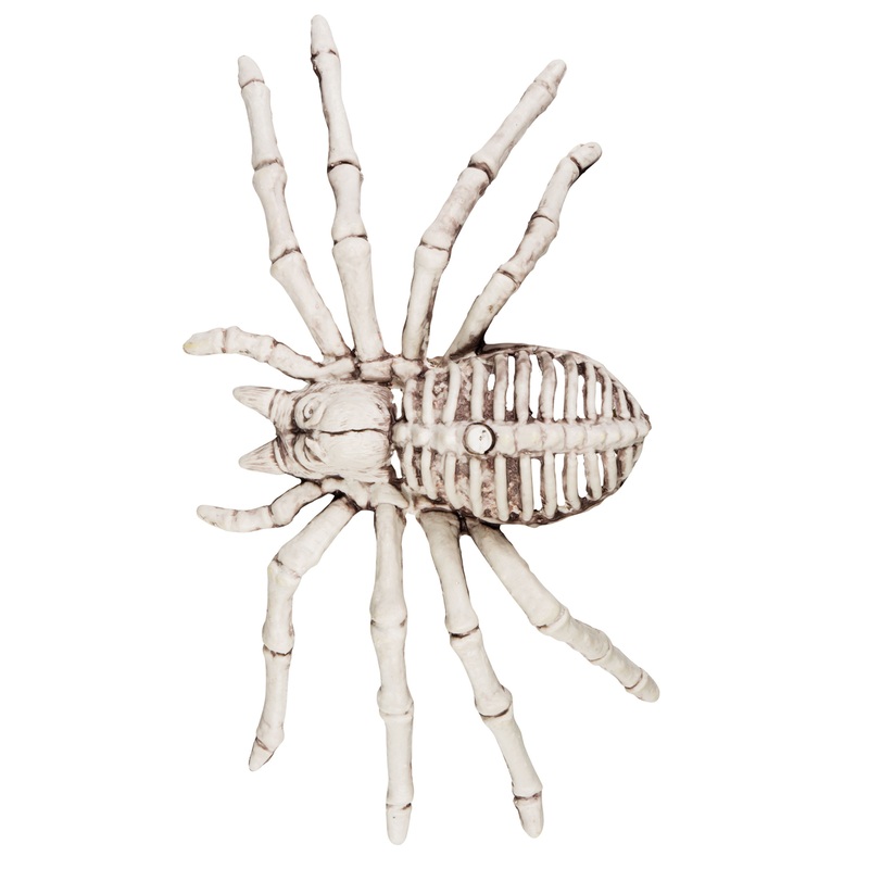 Spider skeleton Halloween decoration 12x24cm