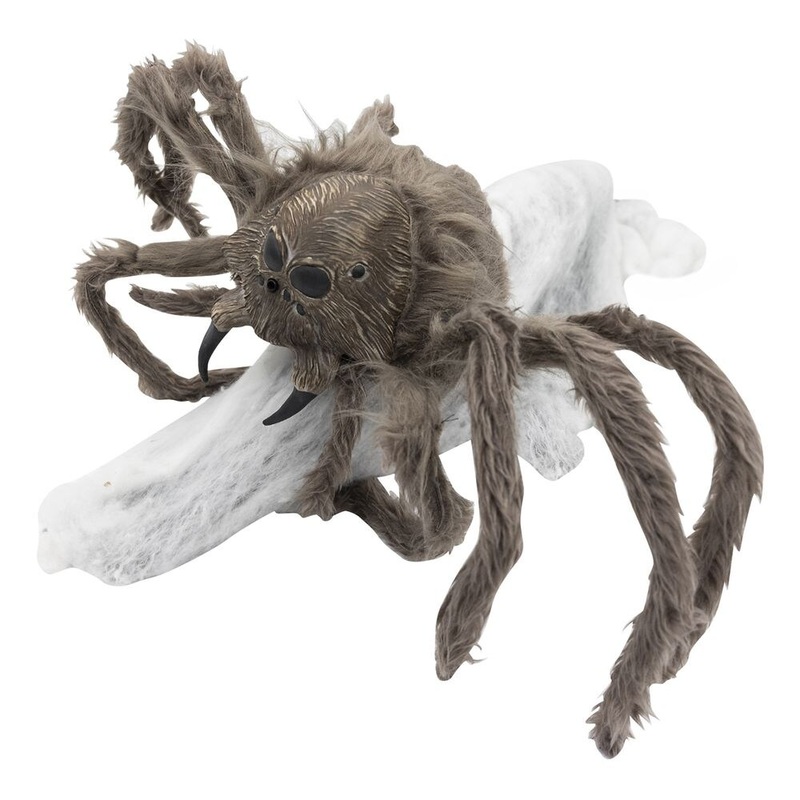 Animated Spider