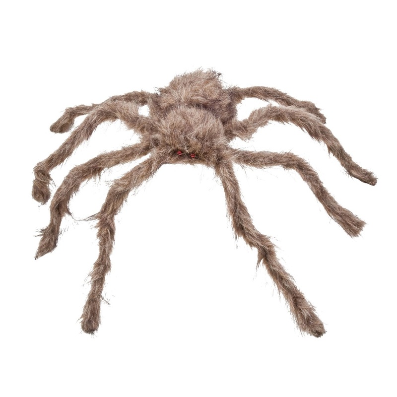 Hairy decorative spider Bert in brown