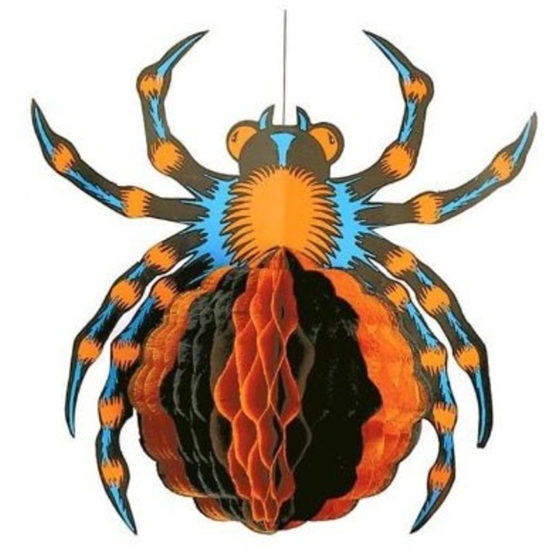 Large honeycomb ball spider Xenova