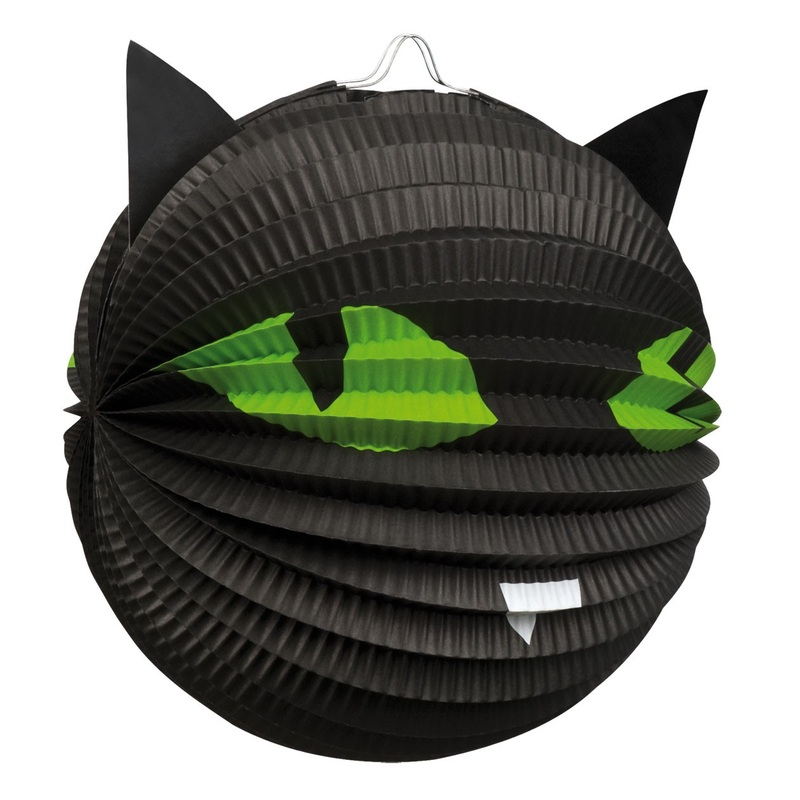 Mysterious lantern black cat Hermione