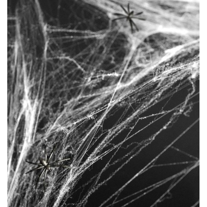 Spider Web Halloween Decoration with Spider