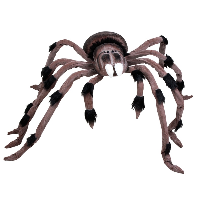 Venomous spider Robert XL