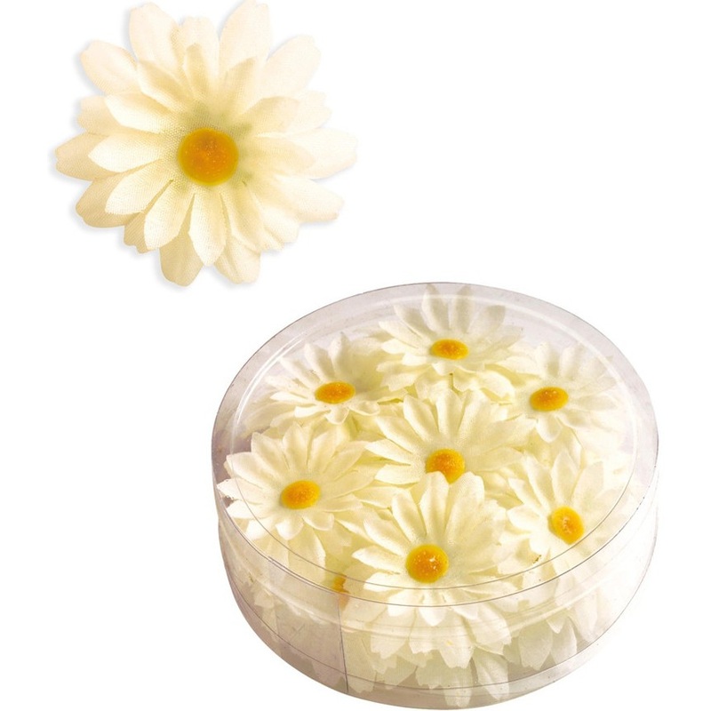 20 decorative daisies