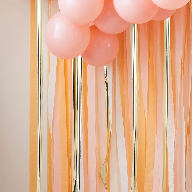Sweet Peach Photo Backdrop Decoration Set