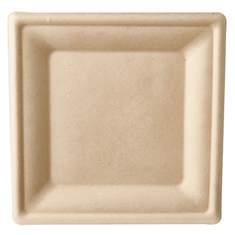 50 sugar cane plates Carmen natural 20 x 20cm