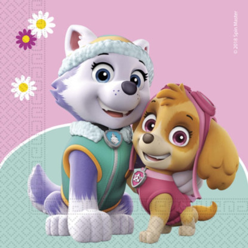 20 Life of Paw Patrol napkins 33cm
