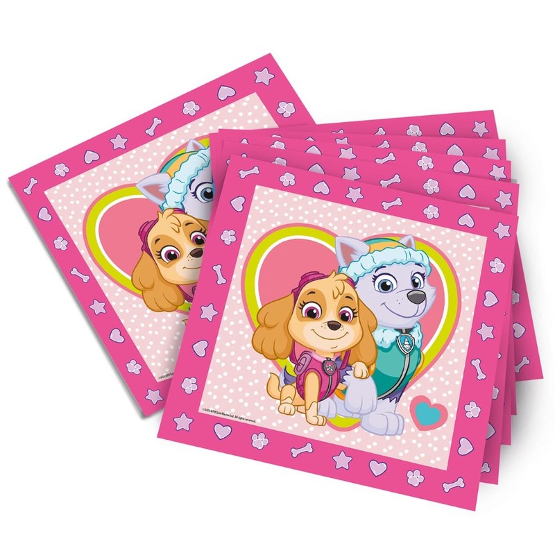 20 Paw Patrol Friends napkins Skye 33 x 33cm