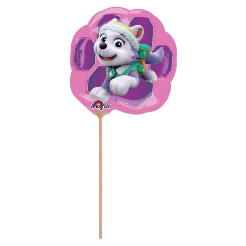 Paw Patrol Girls stick balloon