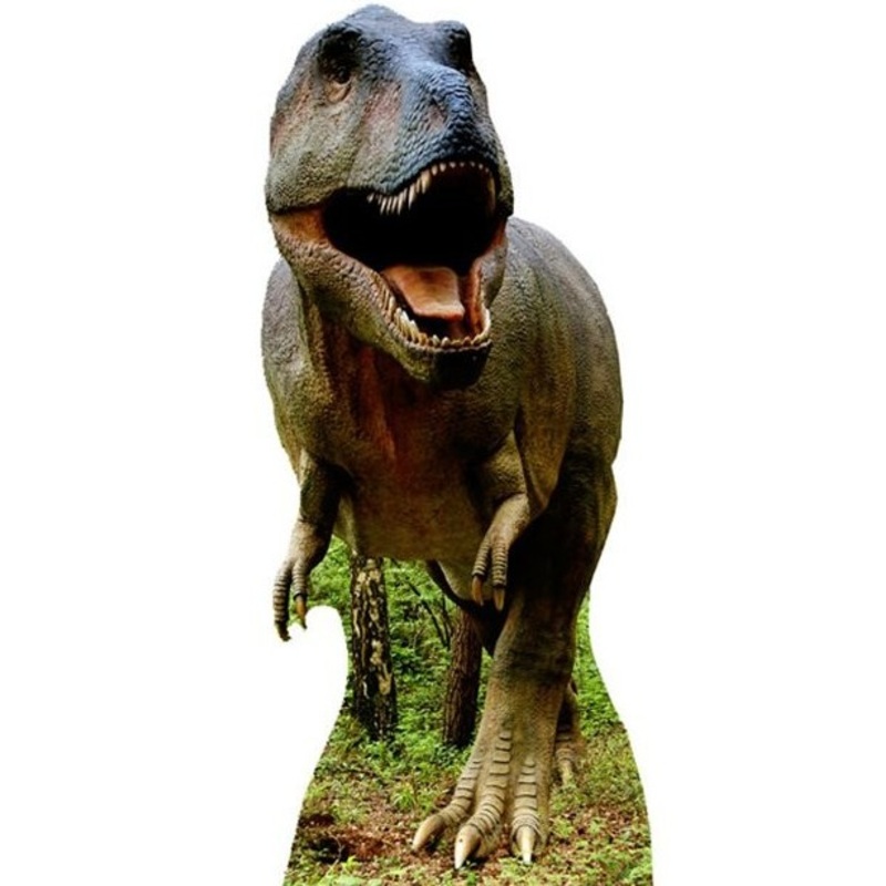 Tyrannosaurus Rex cardboard display 1.93m