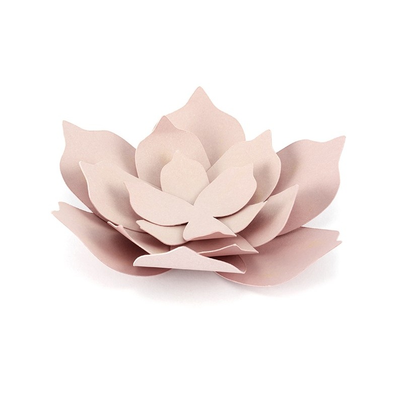 3 pink DIY water lilies Bloomingville 10cm