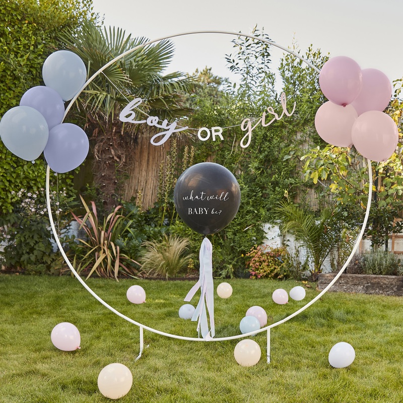 Boy or Girl Gender Reveal Party Set 22 pieces