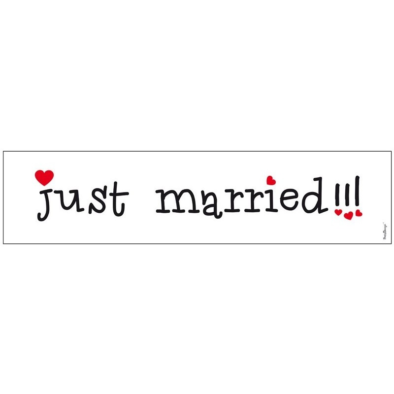 10 signs Just Married 50 x 11cm
